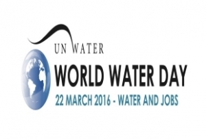 giornata mondiale dell'acqua water job